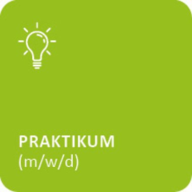 Link zur Seite Praktikum