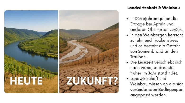 Landwirtschaft & Weinbau Zweiteiliges Bild: Links ein grünes, fruchtbares Moseltal mit Weinbergen und voller Fluss – mit der Überschrift „Heute“. Rechts ein ausgetrocknetes Tal mit rissigem Boden und fast leerem Flussbett – mit der Überschrift „Zukunft?“. Daneben steht, dass in Dürrejahren Erträge von Äpfeln und Obst zurückgehen, Weinberge unter Trockenstress leiden und Sonnenbrand an Trauben droht. Die Lesezeit findet zunehmend früher statt, und Landwirtschaft sowie Weinbau müssen sich an veränderte Klimabedingungen anpassen.
