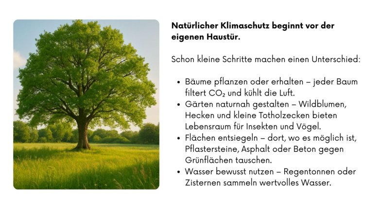 Ein großer Baum in einer sonnigen Wiese. Der Text beschreibt, dass natürlicher Klimaschutz vor der eigenen Haustür beginnt und kleine Schritte einen Unterschied machen. Genannt werden: Bäume pflanzen oder erhalten, Gärten naturnah gestalten mit Wildblumen und Totholz, Flächen entsiegeln sowie Regenwasser bewusst nutzen wie durch Regentonnen oder Zisternen.